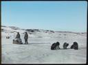 Image of Dog Team in North Greenland